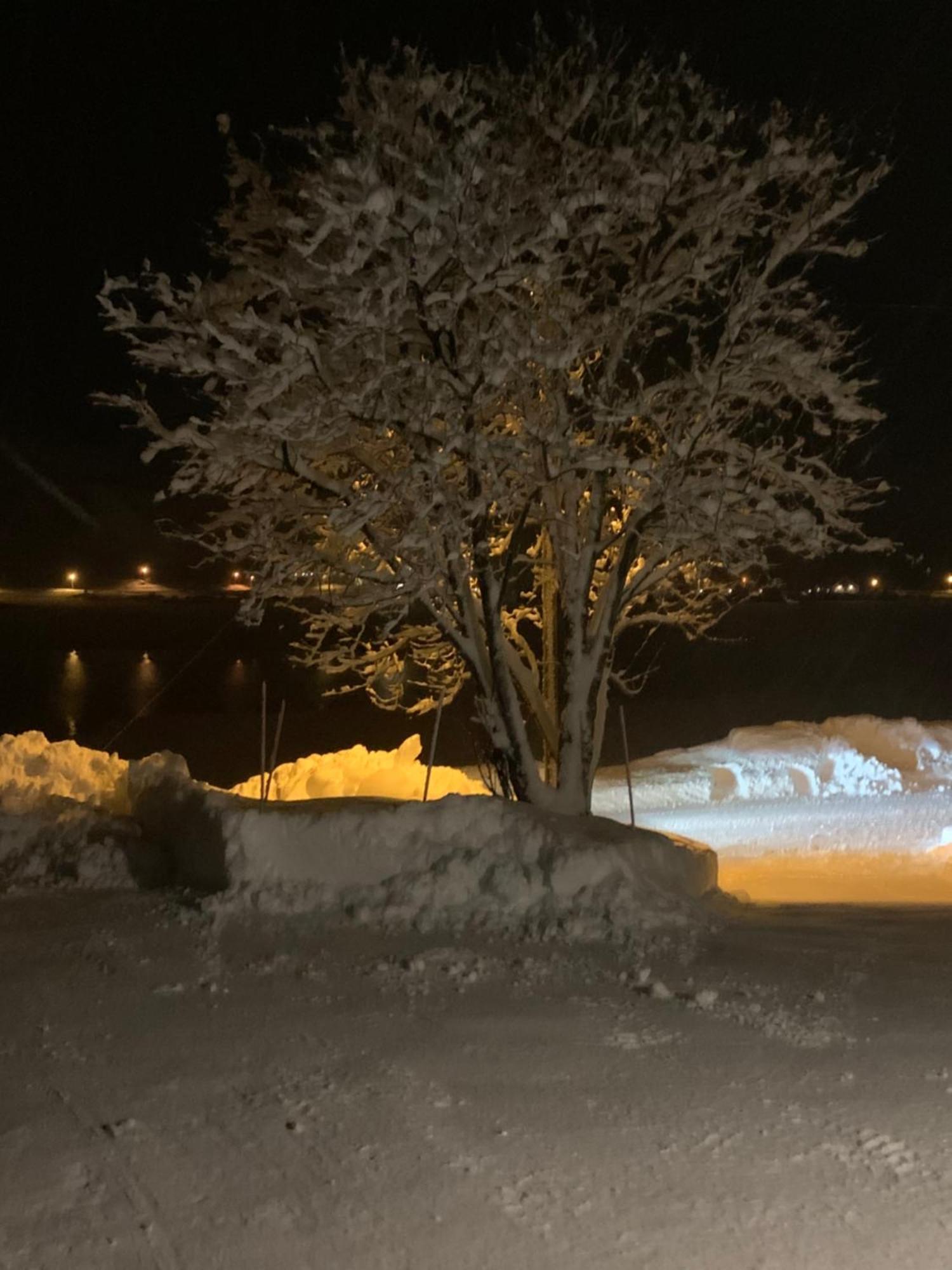 Liten Leilighet Inkludert Frokost Valberg ภายนอก รูปภาพ